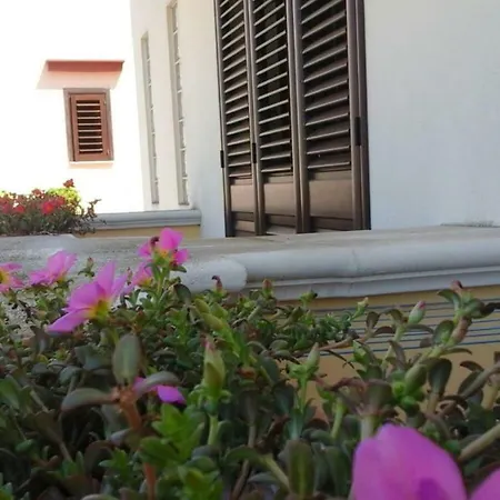 Alojamento de Acomodação e Pequeno-almoço La Chiocciola Del Salento Sannicola